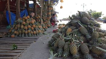 Nanas dari Desa Kualu Nanas dijual di tepi jalan Pekanbaru - Bangkinang. Pandemi juga berdampak pada sepinya pembeli nanas. Selasa, 16/2/2021.