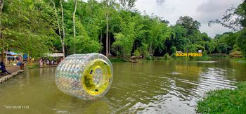 Merawat alam, mendulang rupiah