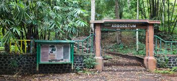 Kawasan khusus di Boon Pring ditetapkan sebagai arboretum atau kebun botani yang bertujuan untuk penelitian dan pendidikan yang diresmikan sejak 2015.