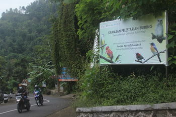 Suaka burung di barat Yogyakarta