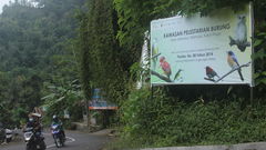 Suaka burung di barat Yogyakarta