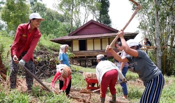Merawat kebun menjadi kegiatan penting bagi masyarakat agar produksi kopi semakin meningkat.