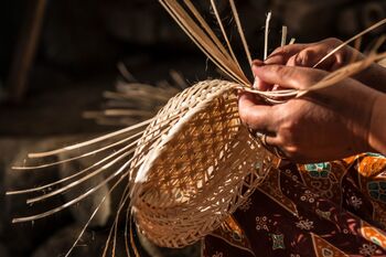 Bambu menjadi pohon kehidupan bagi masyarakat Kampung Naga, Tasikmalaya. Berbagai produk baik untuk keperluan sehari-hari maupun kemasan ramah lingkungan terbuat dari bambu yang tumbuh di sekitar lingkungan mereka. 