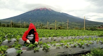 BUMDes Lohjinawi : gebrakan anak muda di lereng Gunung Kerinci