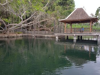 Area wisata tirta dibangun oleh pemerintahan desa karena dinilai berpotensi dalam mendongkrak perekonomian pembangunan desa.