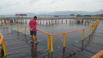 Kolam teripang menjadi salah satu objek wisata bagi warga yang ingin melihat keunikan budidaya teripang. 