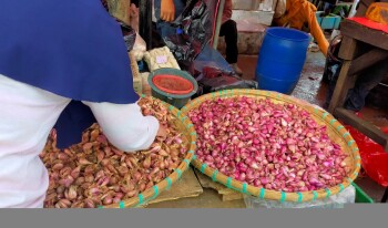 Desa Kedungbokor Penghasil Bawang Merah Goreng