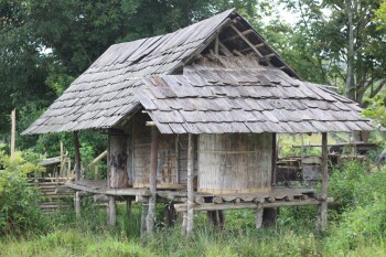 Talukung: lumbung padi masyarakat Seko