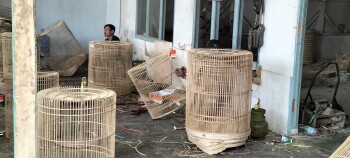 Bambu Selaawi : dari desa hingga global