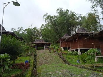 Penginapan Kampung Peradaban menjadi tempat wisata bernilai sejarah yang dikelola oleh BUMDes Kali Langit di Situs Liyangan, Temanggung, Jawa Tengah.  