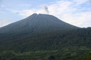 BUMDes Wiguna Utama : mencicipi wisata hutan lindung Gunung Slamet