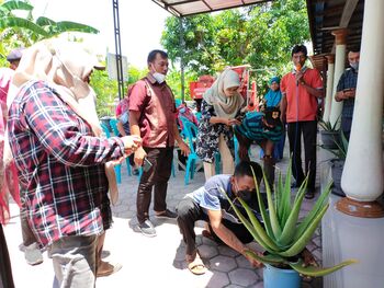 Bahan baku lidah buaya digunakan untuk olahan minuman ringan, cemilan, hingga manisan. 