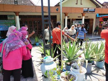 Budidaya lidah buaya melibatkan warga dan menjadi salah satu penghasilkan bagi ekonomi keluarga. 