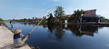 Dua warga sedang memancing menggunakan branjang di danau yang dikelola BUMDes Rejo Makmur Ngemplak, Kecamatan Undaan Kabupaten Kudus (6/4/2023).