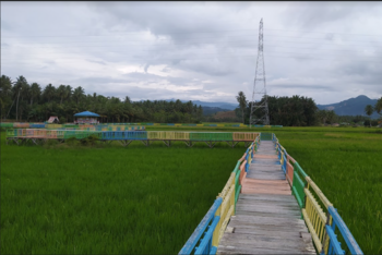 Jembatan di tengah sawah menjadi wahana wisata di Desa Talduyunu, Kabupaten Pohuwato, Gorontalo.