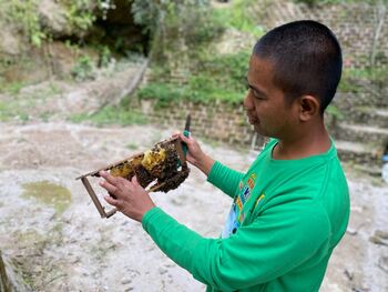 Selamet bersama 9 orang lainnya tengah mengembangkan produk madu menjadi propolis. Meningkatkan mutu sekaligus menambah nilai ekonomi budidaya lebah madu. 