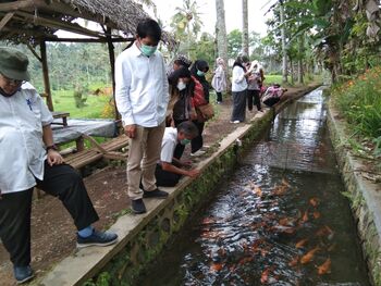 Warga Desa Kluncing, Banyuwangi tengah bergotong royong merawat aliran selokan untuk budidaya perikanan. 
