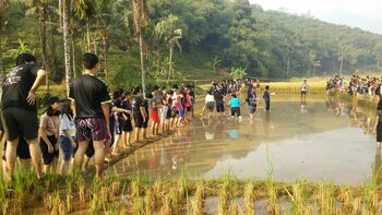 Menanam padi menjadi bagian aktivitas saat berkunjung ke Desa Cibuluh. Di sini pengunjung juga bisa bermain air sekaligus mengenal aneka permainan tradisional. 