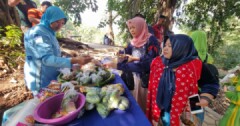 Desa Menawan: nikmat durian khas Muria, meriah tradisi, hingga jajanan tradisional