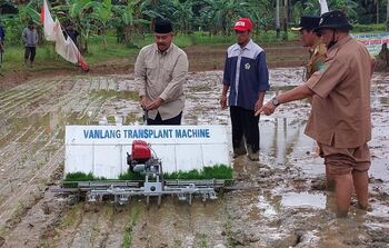 Penanaman padi dilakukan dengan mesin sehingga lebih cepat dan produktif. 