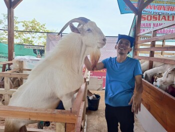 BUMDes Panji Boma: Membangun Agrowisata Di Tanah Legenda