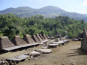 Kampung adat Bena di Flores salah satu desa adat yang masih menjaga tata nilai leluhurnya. Desa ini juga menghasilkan kopi dengan cita rasa unik dan menjadi sajian bagi wisatawan. 