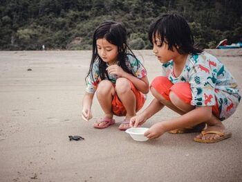 Pantai Desa Kelawi menjadi area konservasi penyu yang dikelola dan dirawat oleh Pokdarwis Desa Kelawi bersama BUMDes Kelawi Mandiri. 