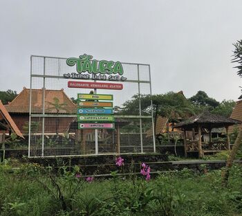 Berbagai fasilitas homestay hingga restoran siap memberikan pelayanan terbaik bagi para wisatawan yang berkunjung ke desa ini. 