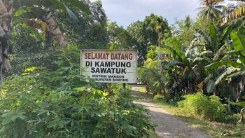 Warga Kampung Sawatuk sudah lama hidup dan berdampingan dengan lampu pelita. Kini, warga desa sudah bisa menikmati listrik dari PLTA Mikro Hidro  yang dikelola secara mandiri. 