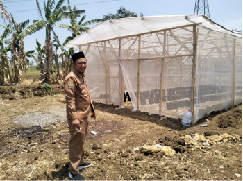 Inovasi Desa Sukodono: Bangun Greenhouse Melon