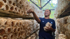 Pentingnya Taktik Mitigasi Risiko Kegagalan Usaha Ketahanan Pangan BUMDes